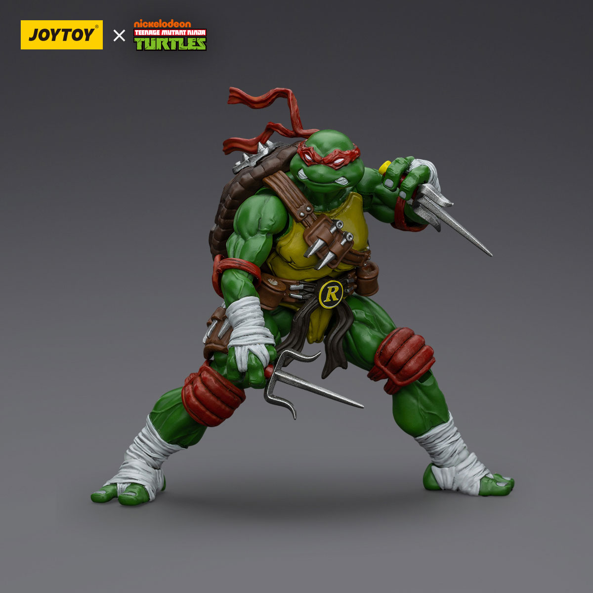 Tmnt Action Figure