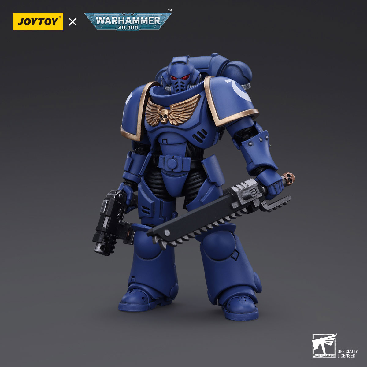 Ultramarines Outriders Brother Catonus Ultramarines Outriders Brother Catonus